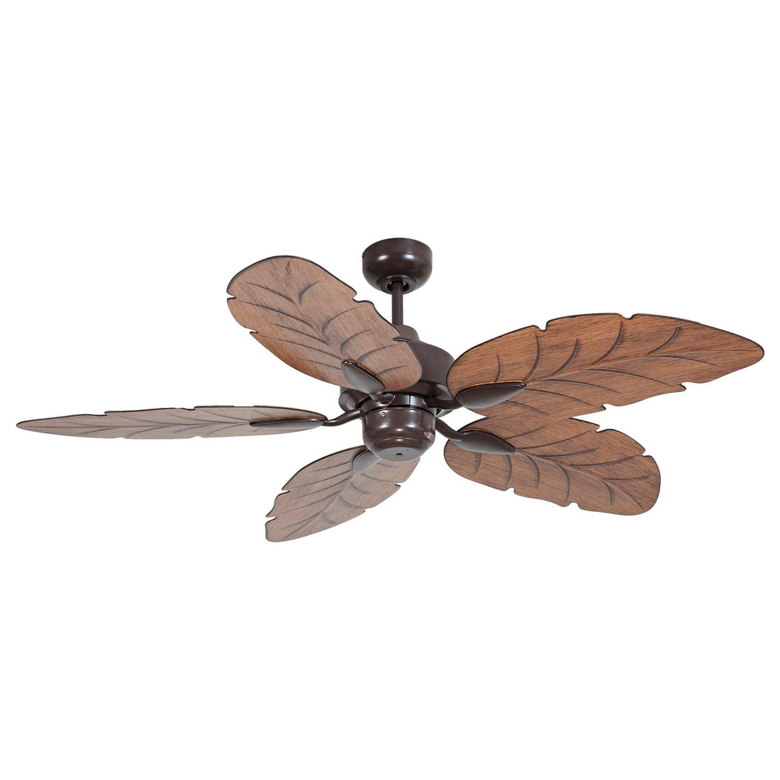 Cooya AC Ceiling Fan Mercator