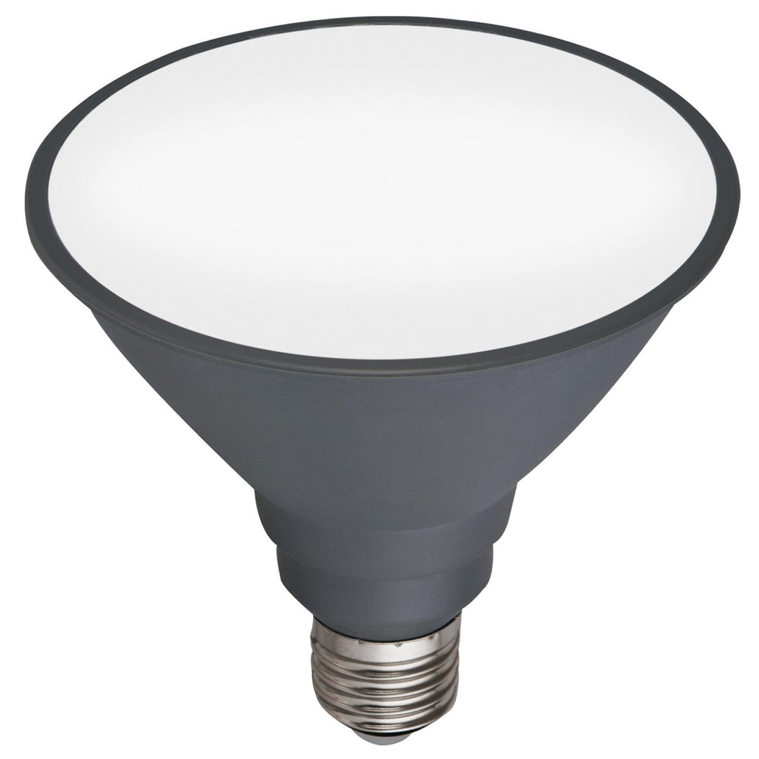PAR38 3000K E27 LED Globe Mercator