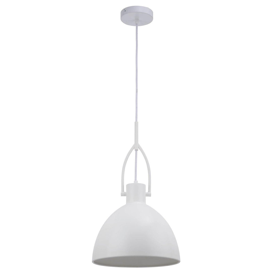 Terrence 1Lt Light Pendant Mercator