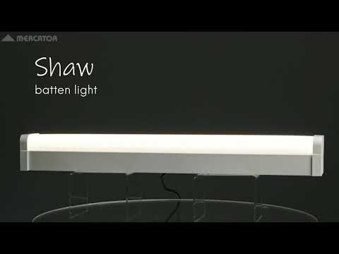 Shaw 600mm LED CCT Batten Light