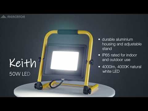 Keith LED Worklight