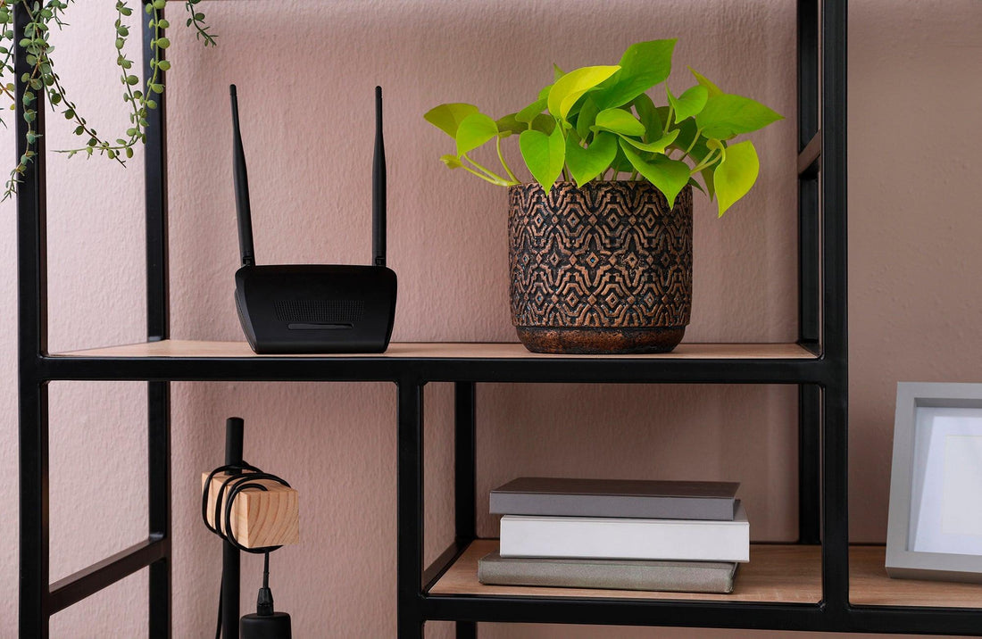I’ve changed routers… what do I do? Mercator